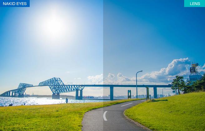 AF-306 C-5CYMT  GUNMETAL MATT ����᥿��ޥå�