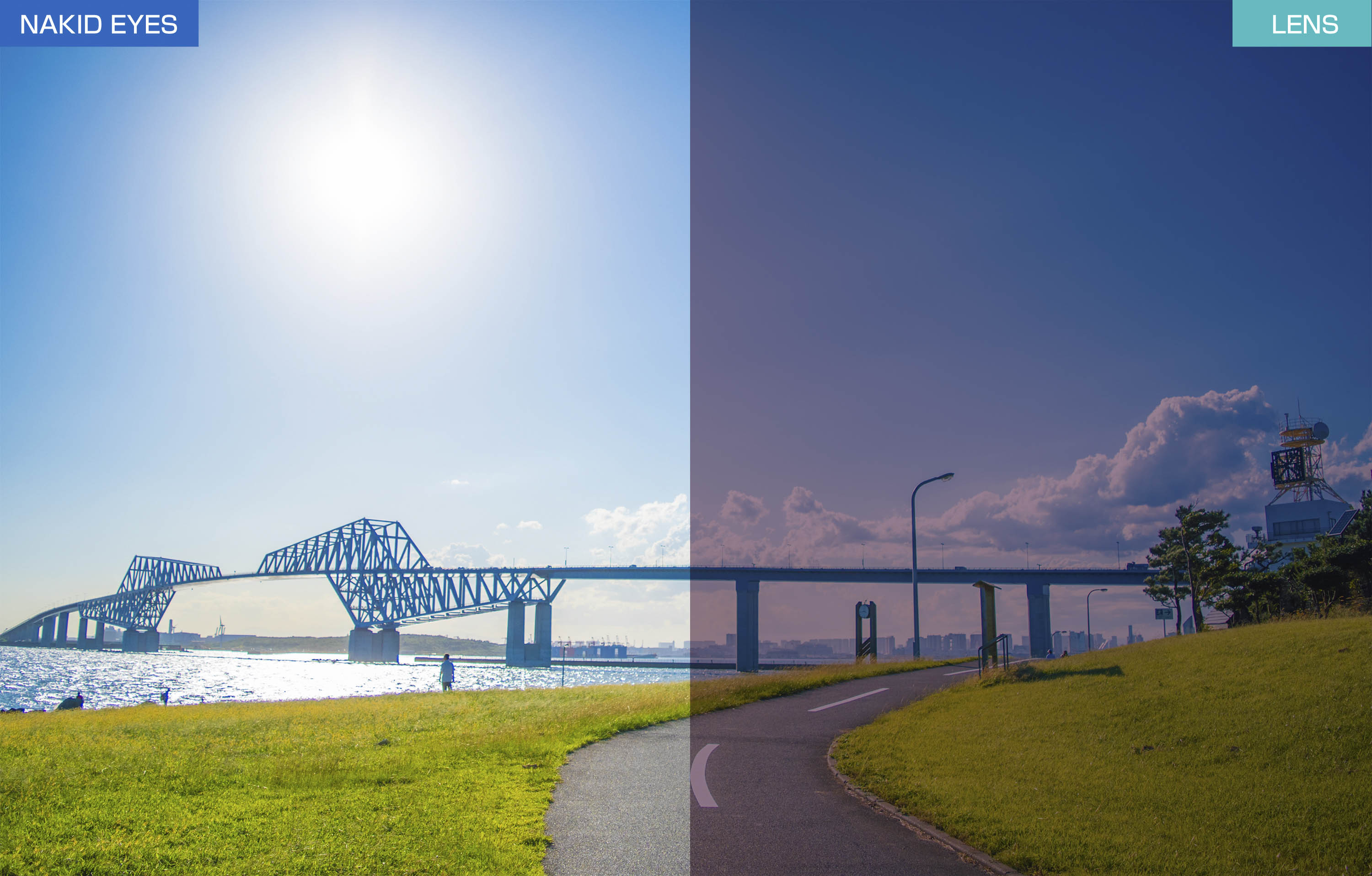 AirFly  AF-302WPĴ�����ꥢ�ԥ� PINK��󥺱ۤ��θ����� ���ݡ��ĥ��󥰥饹