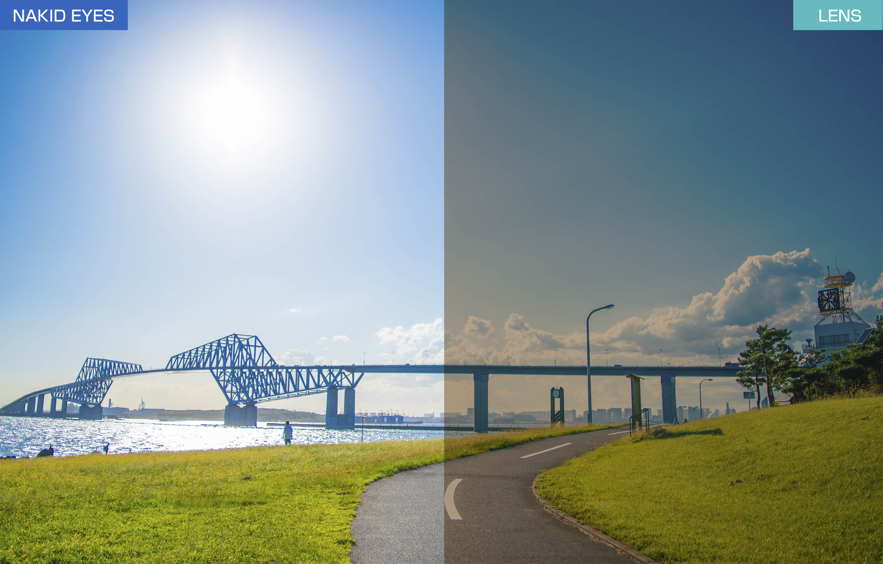 AF-306 C-1CYMT BLUE MATT �֥롼�ޥå�