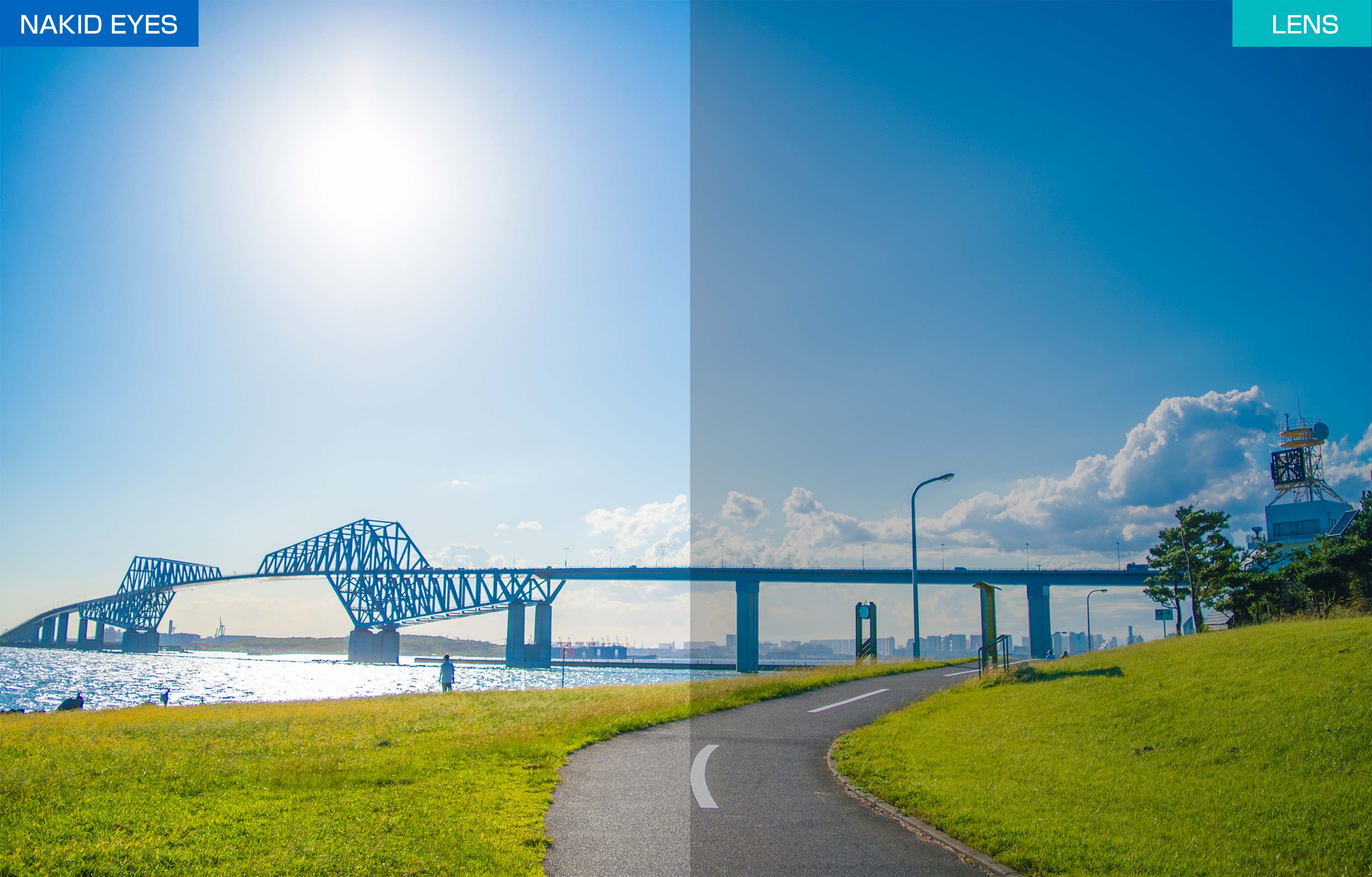 AF-306CYMT ��󥺤θ����� ���ݡ��ĥ��󥰥饹�����ݡ��ĥ�����������  �糰��UV�����������ӥå����