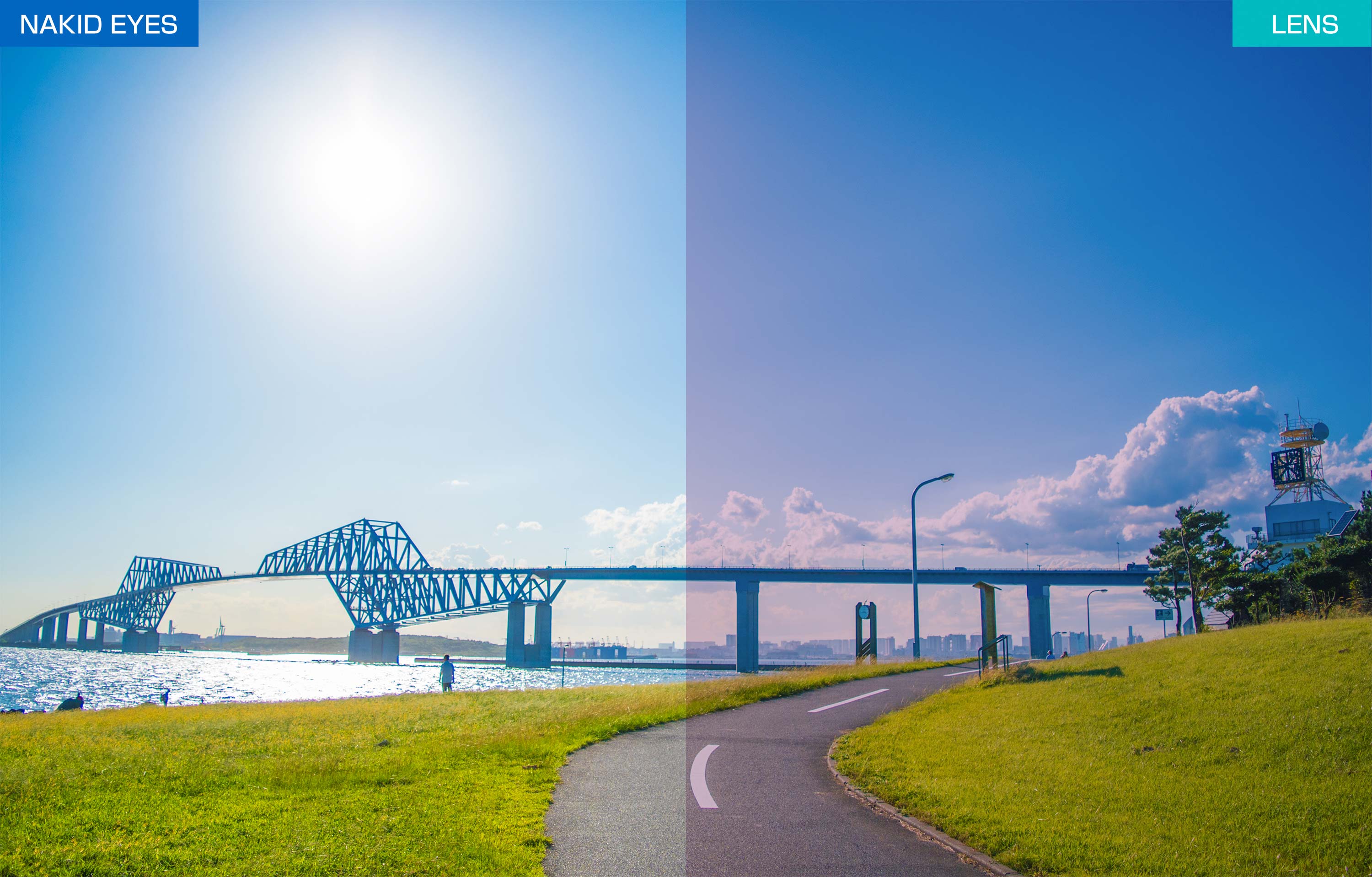 AF-307 C-2CYSP BLACK MATT �֥�å��ޥå�