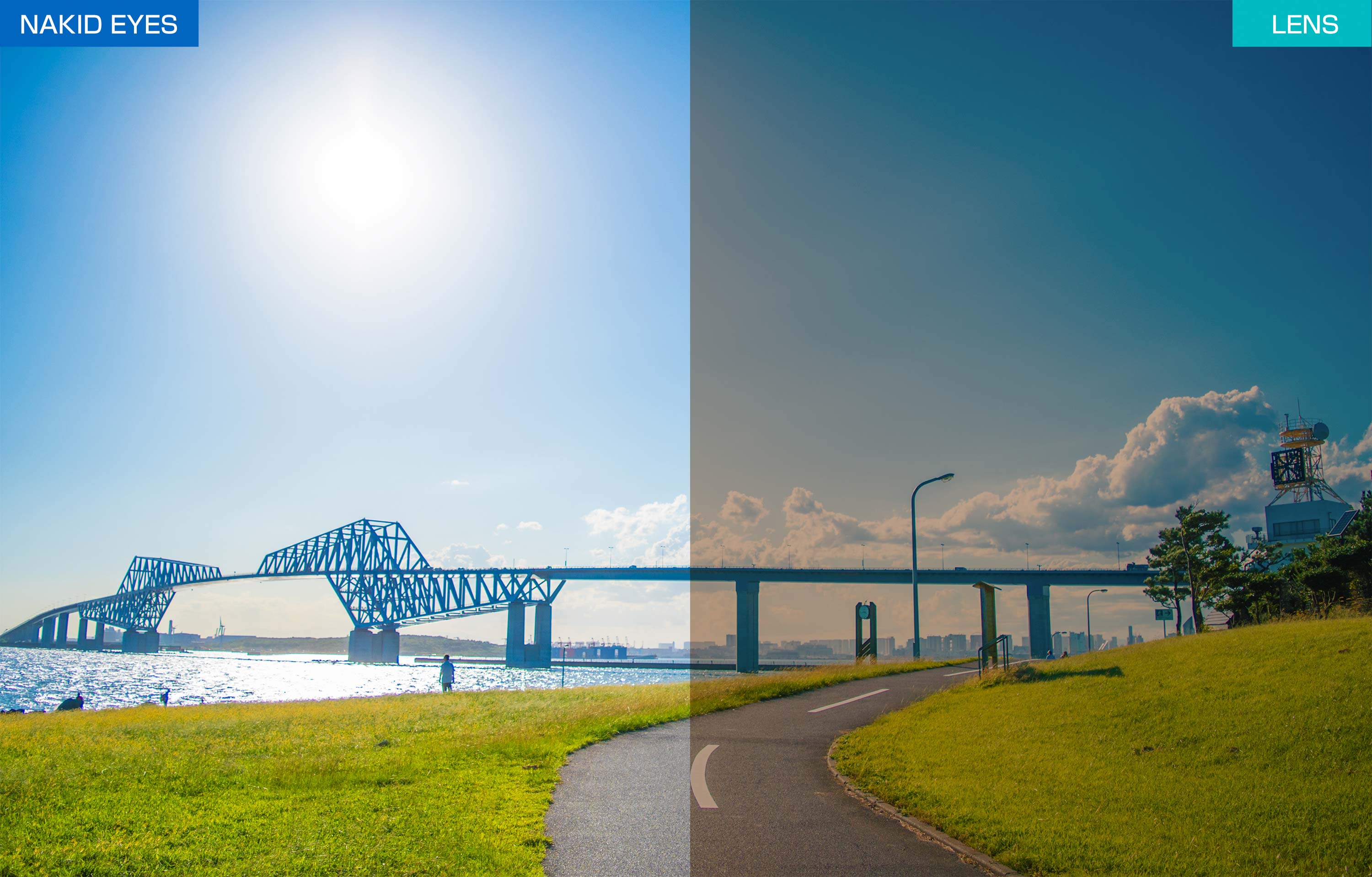 AF-307 C-3CYSP WHITE MATT �ۥ磻�ȥޥå�