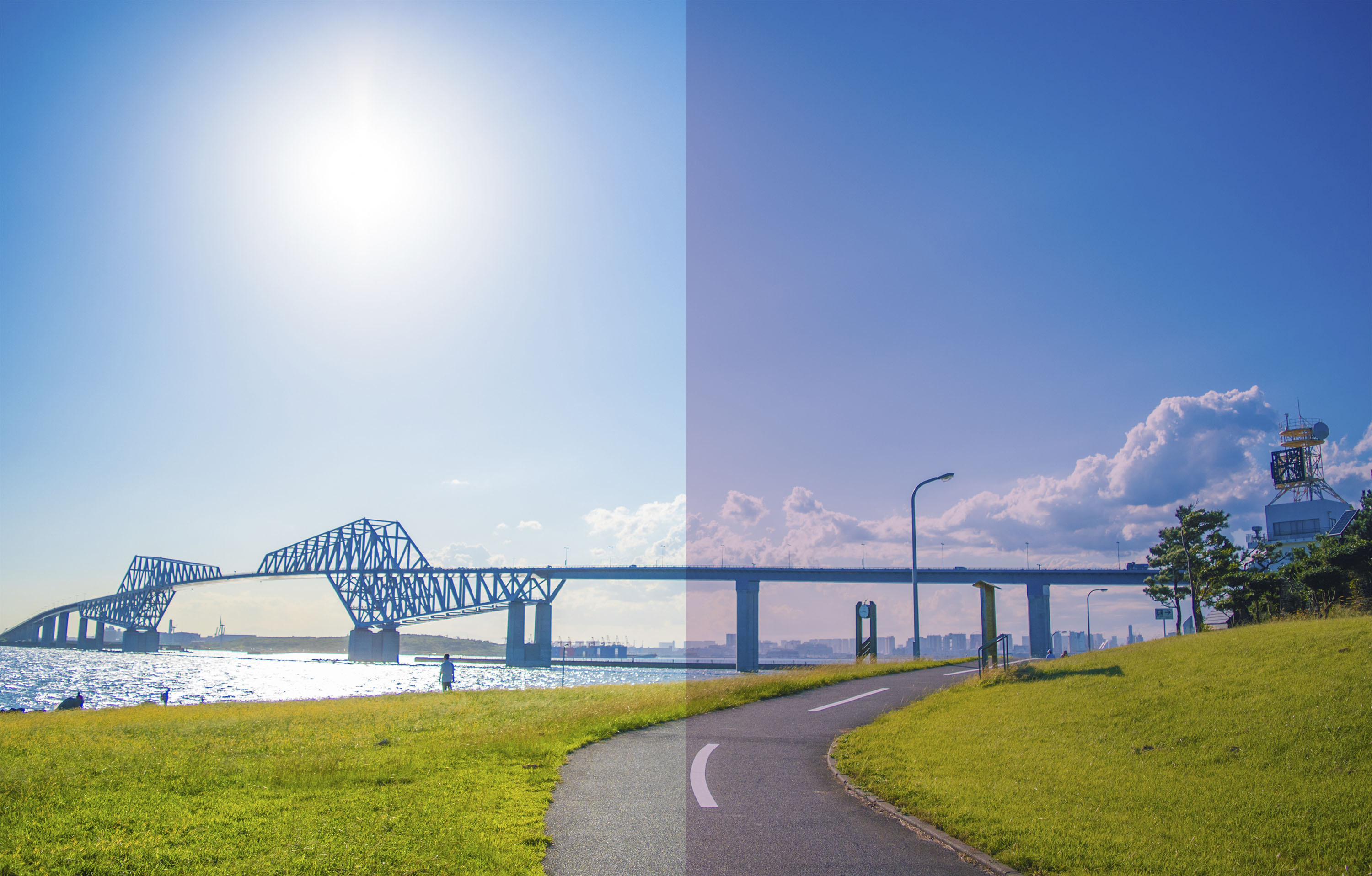 AF-30XL C-1󥺤θ ݡĥ󥰥饹ݡĥ  糰UVӥå