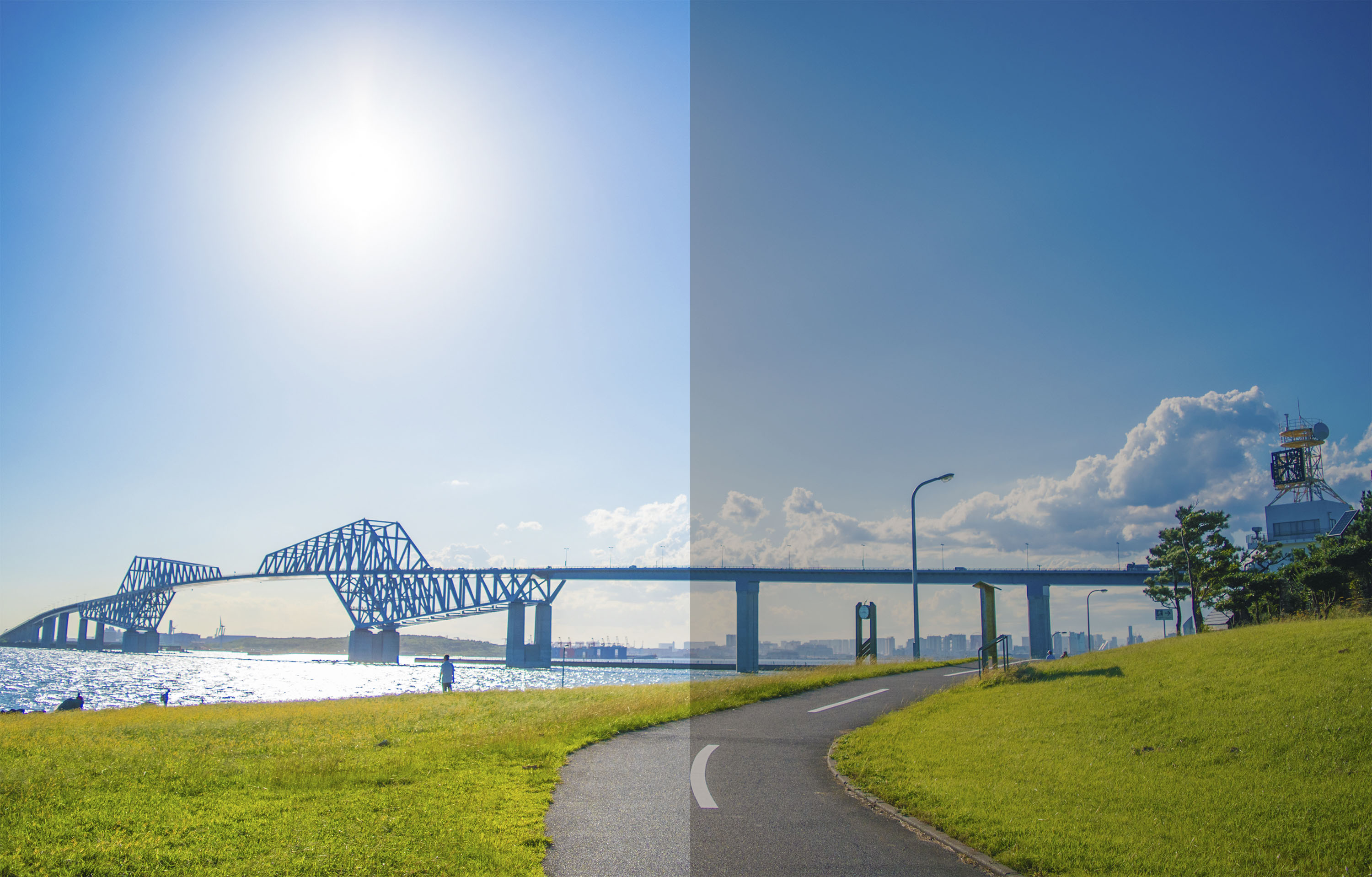 AF-30XL C-1󥺤θ ݡĥ󥰥饹ݡĥ  糰UVӥå