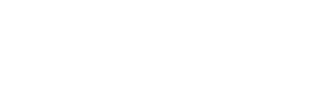 AF-302WP ݡĥץ饹AirFly ե饤
